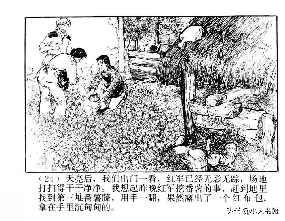 朝阳花-上海人民美术出版社1981陆成法陆小弟绘「上」
