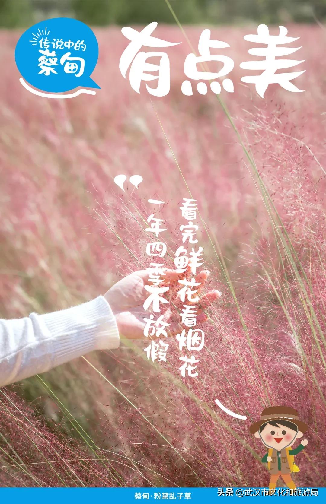 蔡甸区游玩,蔡甸在哪里