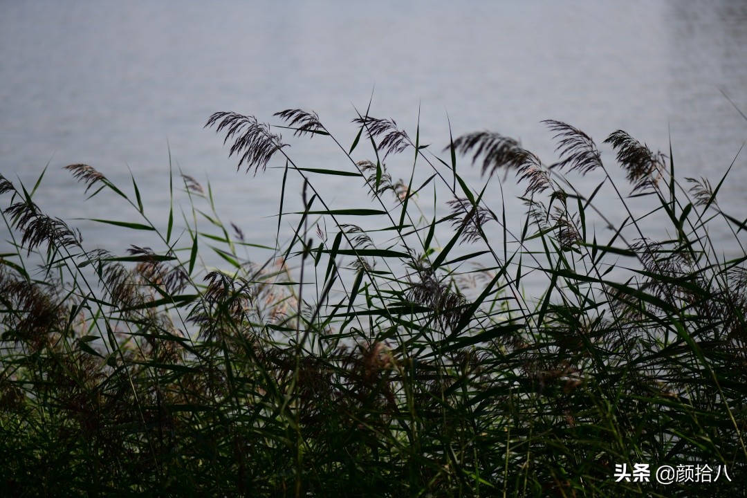 北京圆明园一日游推荐,圆明园秋色如画