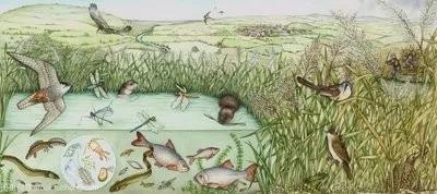 清明梦视频,清明梦出体玄学