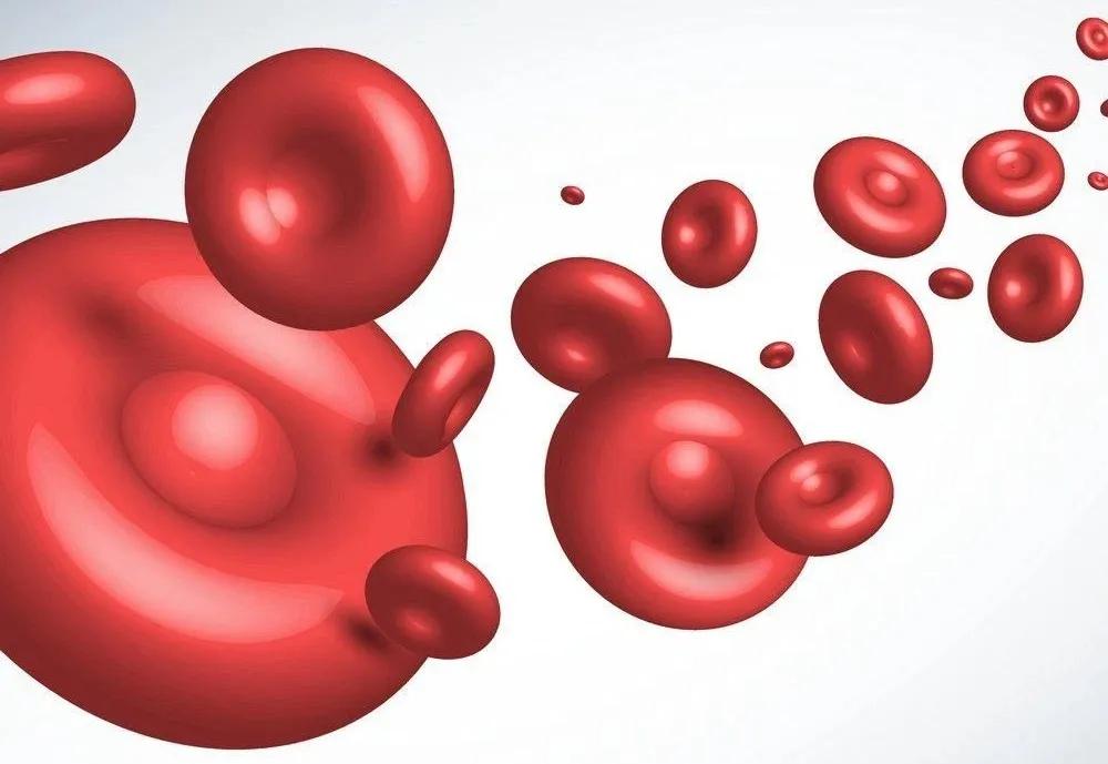 血小板上千,血小板数量一千