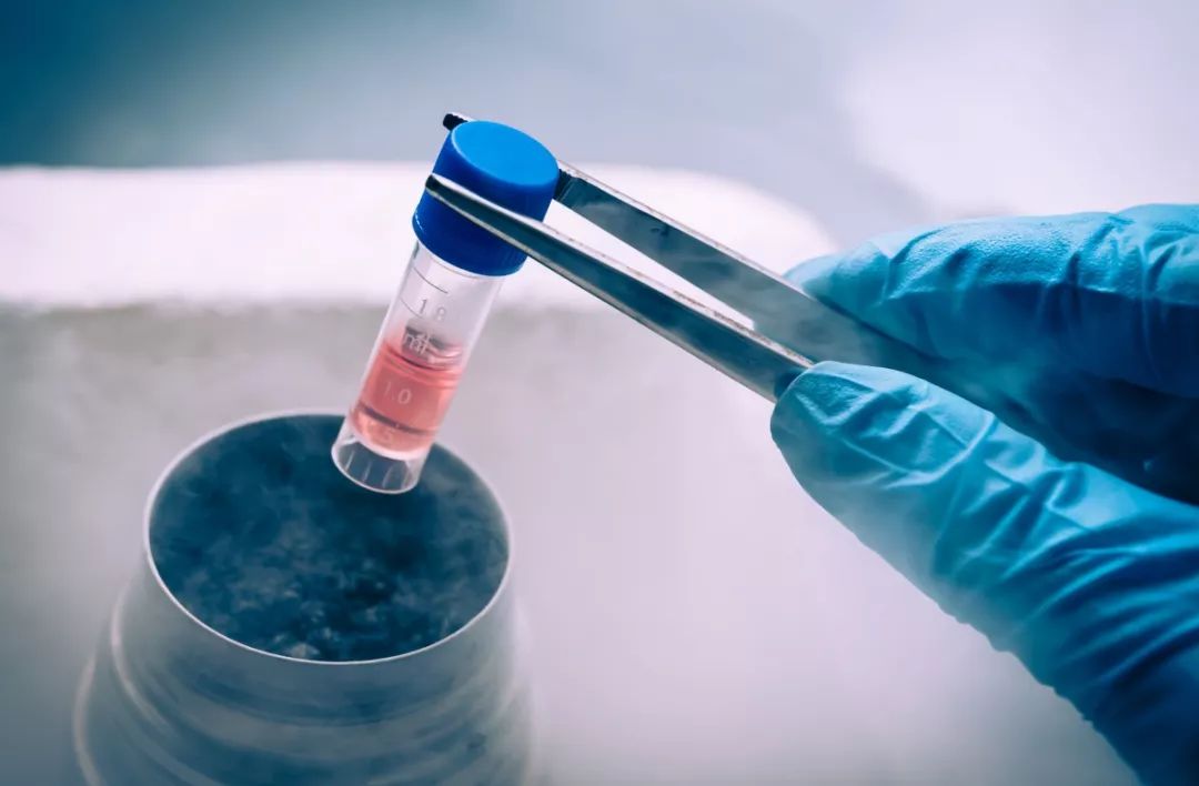 纠正偏差管理,偏差管理规程