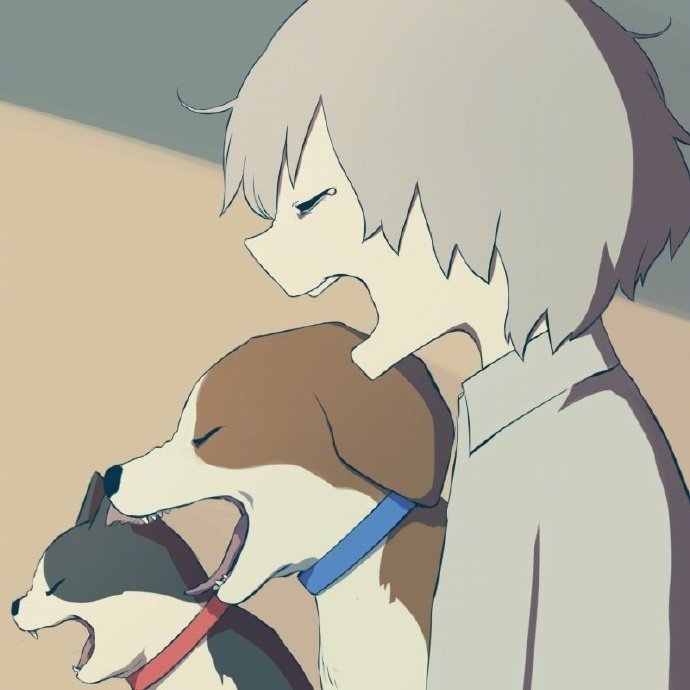 不同品种的猫咪插画,猫咪四大天王之猫插画