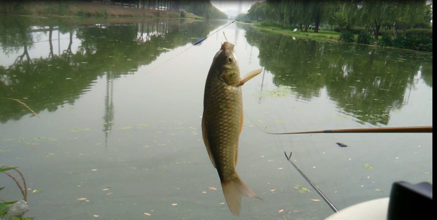 让路亚人崩溃的炸线,钓鱼的鱼线乱七八糟该怎么解开