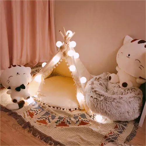 “乱买东西，猫骂了我三天！”