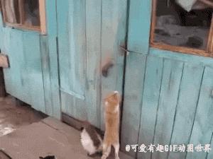 low-e玻璃如何镀膜实现低辐射,low-e玻璃和镀膜玻璃一样吗