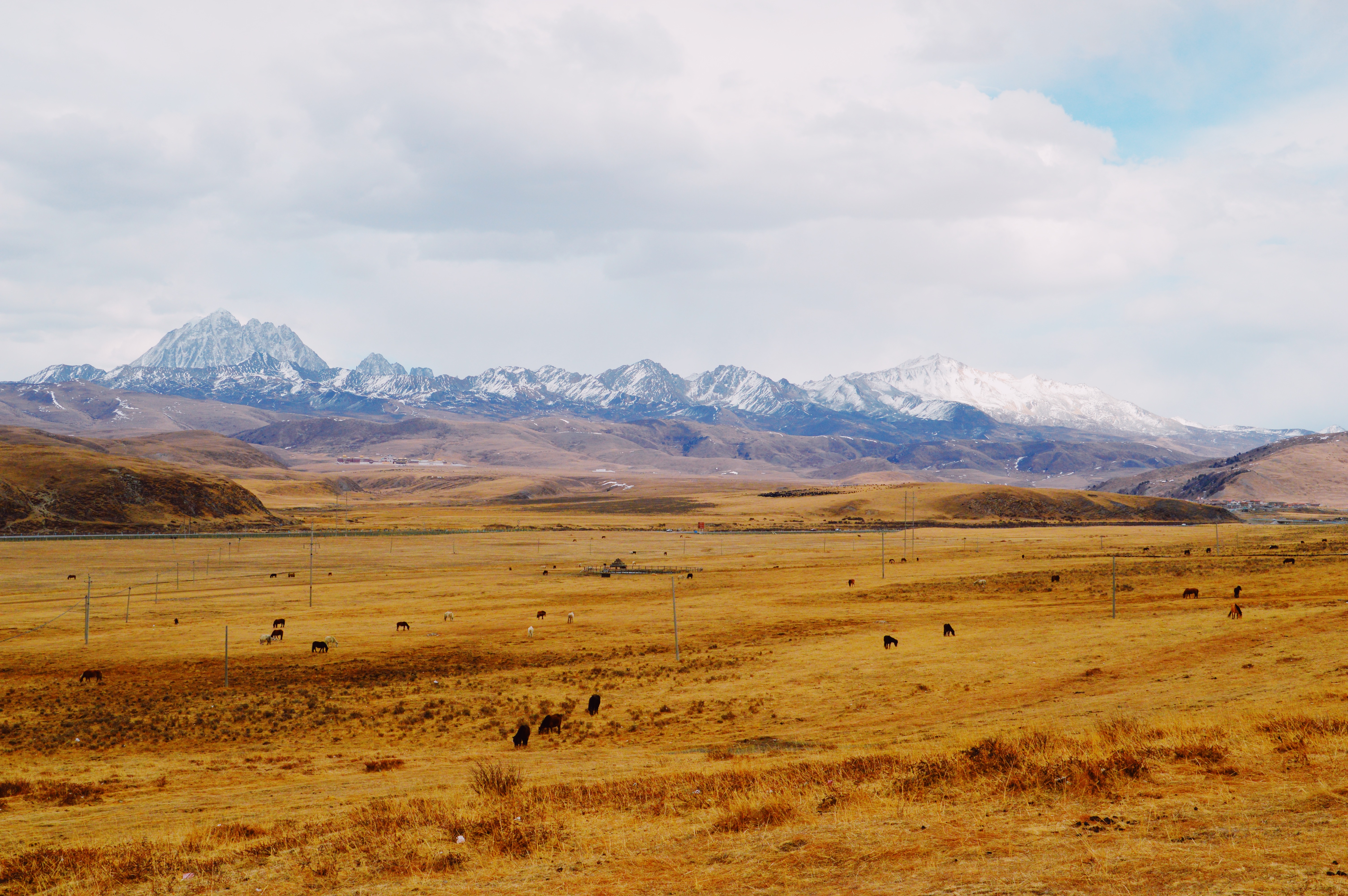 g318骑行上海,自驾g318川藏线分享沿途美景