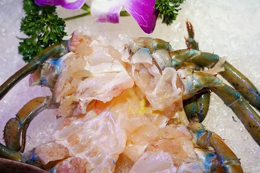 简易龙虾汤泡饭,打边炉花胶鸡汤泡饭做法