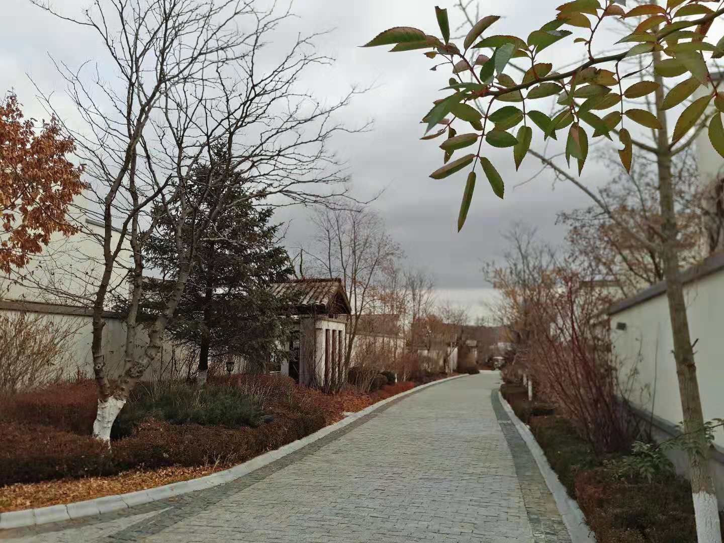 大连良运俭汤温泉,俭汤良运温泉度假区