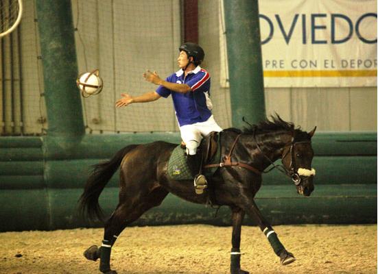 你们见过篮球；见过马球，但是你们见过马篮球吗？