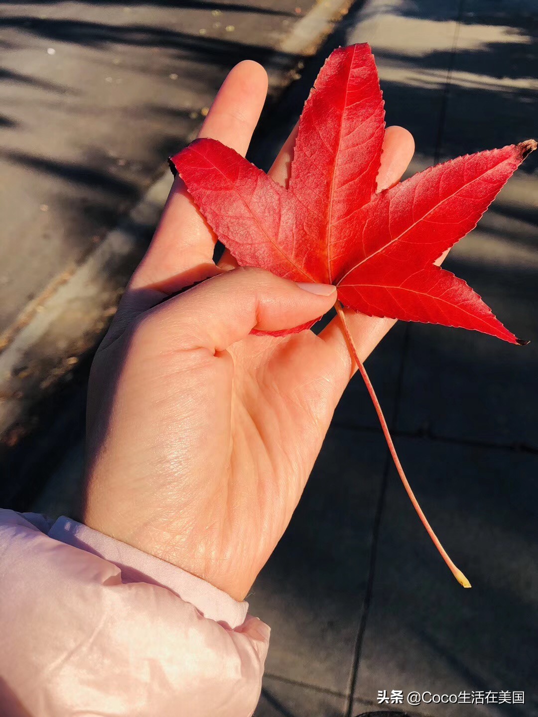 真实的美国治安好不好,美国治安真实感受