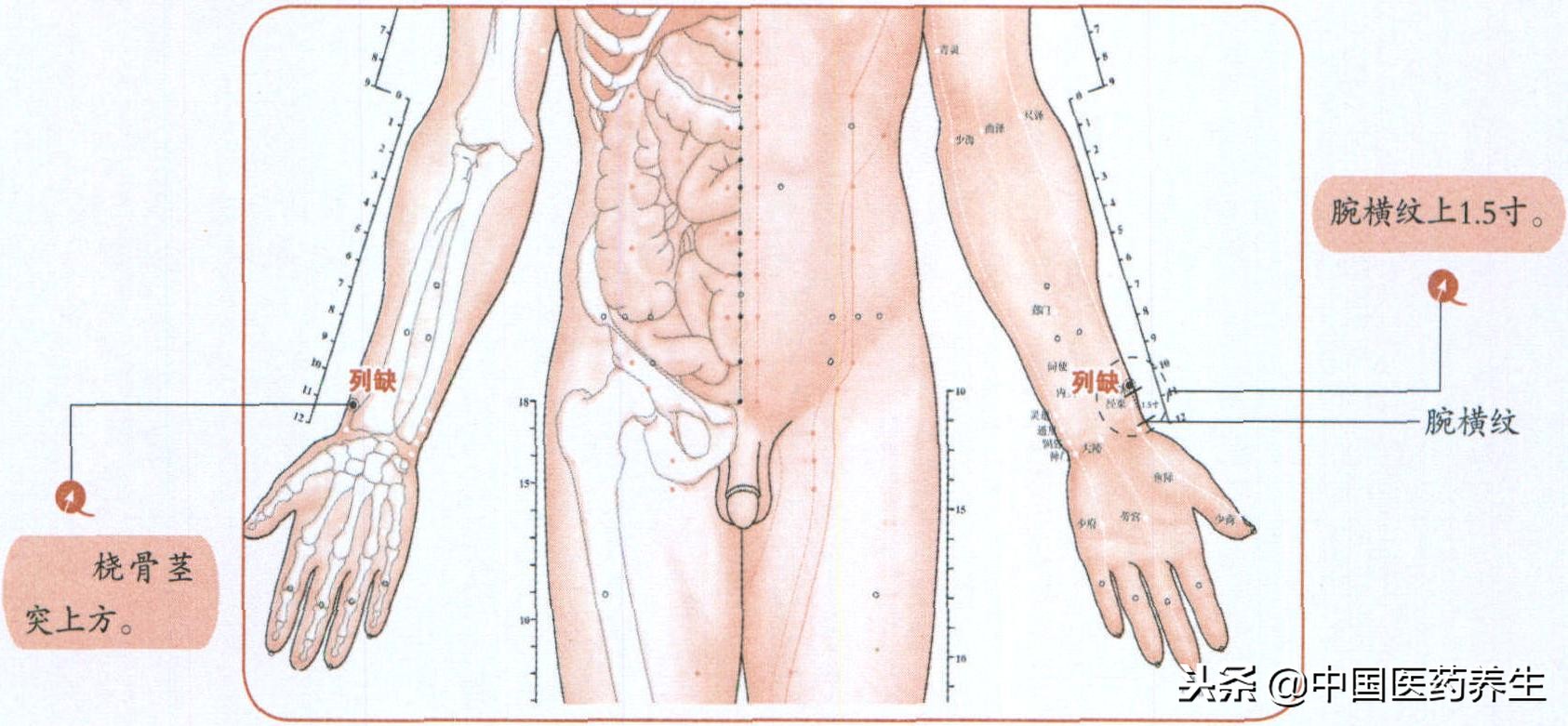 过敏性鼻炎揉按哪个穴最快,鼻炎的取穴和配穴
