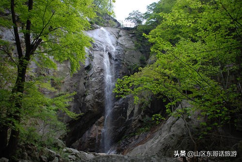 被誉为物种基因库,南阳宝天曼旅游景区