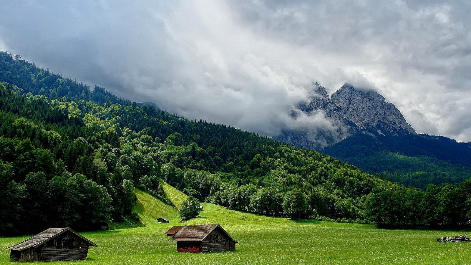 心理学对未来和当下的解析,人的潜力都是被逼出来的心理学