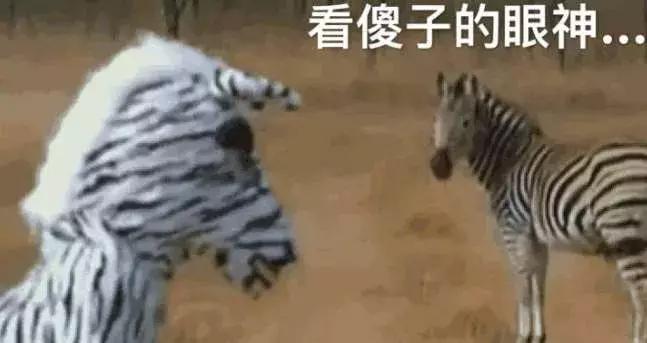 中国人这个“种族天赋”，让美国老奶奶大赚一个亿