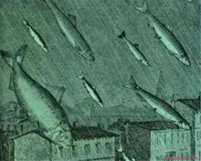 真实存在的世界十大怪,世界十大怪