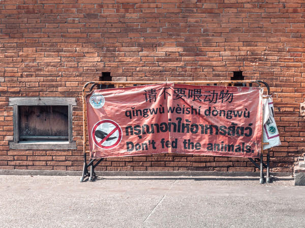 去清迈度假享受片刻的宁静,12月的清迈