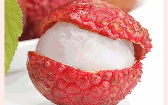 为了阻止荔枝集体自杀，古往今来荔枝控们费尽心机（菲李漫画）