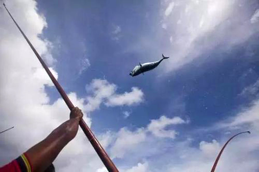 钓鱼的方法可以一秒钓到鱼,钓鱼变成荒野求生