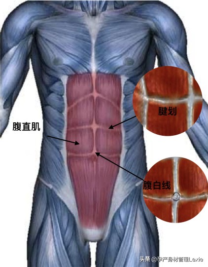 产后妈妈肚子下不去,产后妈妈瘦不下来怎么回事