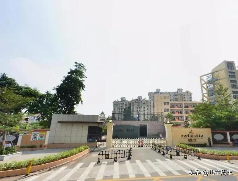 扒一扒深圳教育集团的老牌小学|南山龙岗篇