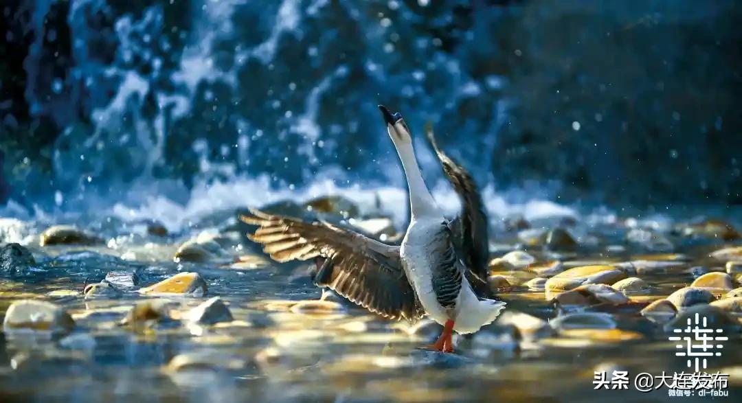 黄金周不打烊,黄金周不出门