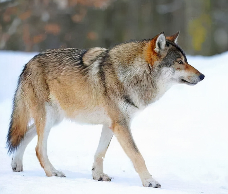 正确应对负能量的好处,远离负能量的人最好方法