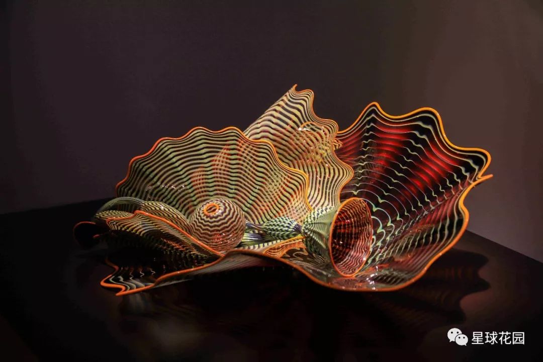 二木带你游花园|邱园（kewgarden）离我们到底有多远？