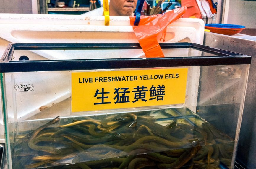 新加坡人爱吃的食物,新加坡奇葩美食图片