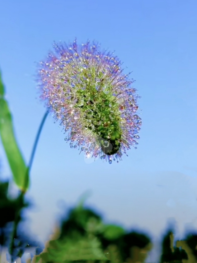 中国诗歌周刊194期,中国诗歌周刊第88期