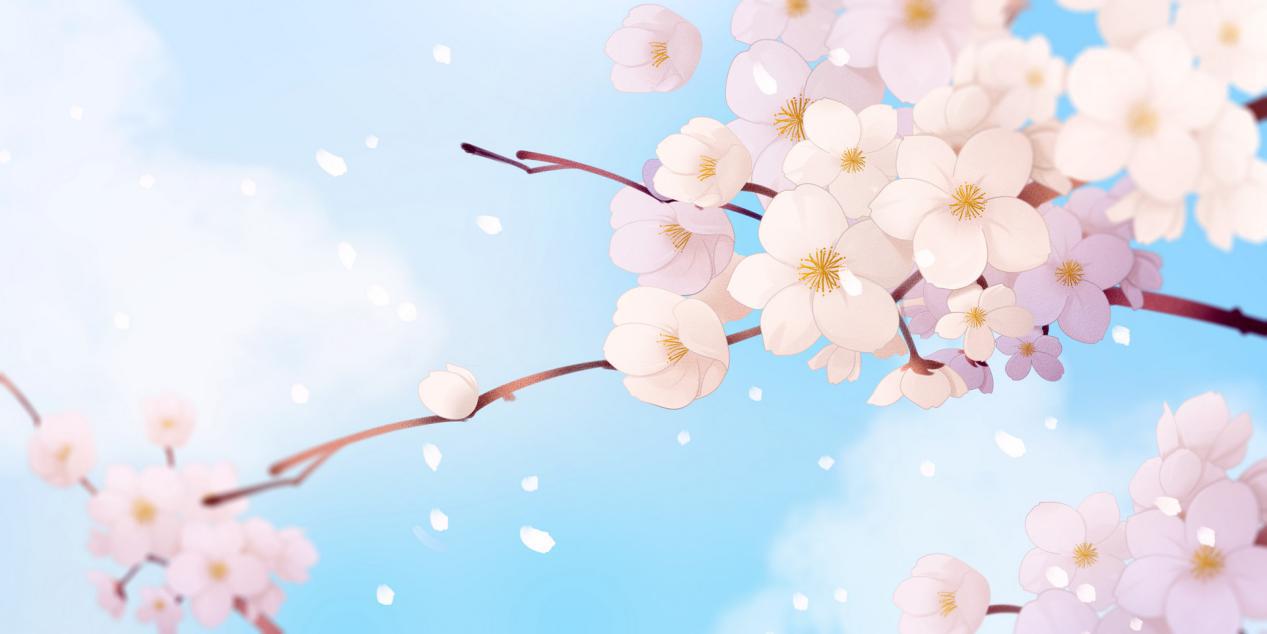 电商法严厉打击代购,日本电商新手入门赚钱方法