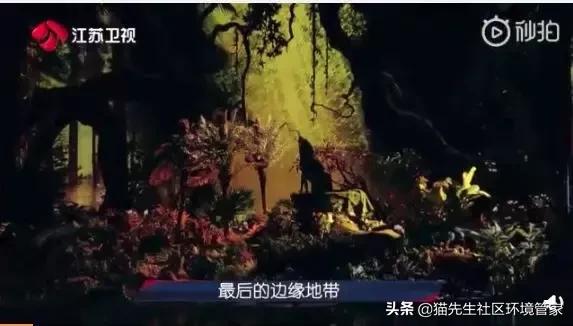 疯狂的裸体彩绘|这世间事十有八九都与垃圾分类有关