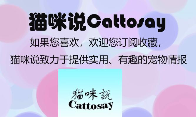 狗吐血而死是什么原因,狗突然吐血死了