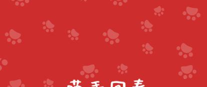 猫咪膀胱结石频繁上厕所尿少,猫咪排尿困难引起便血怎么办