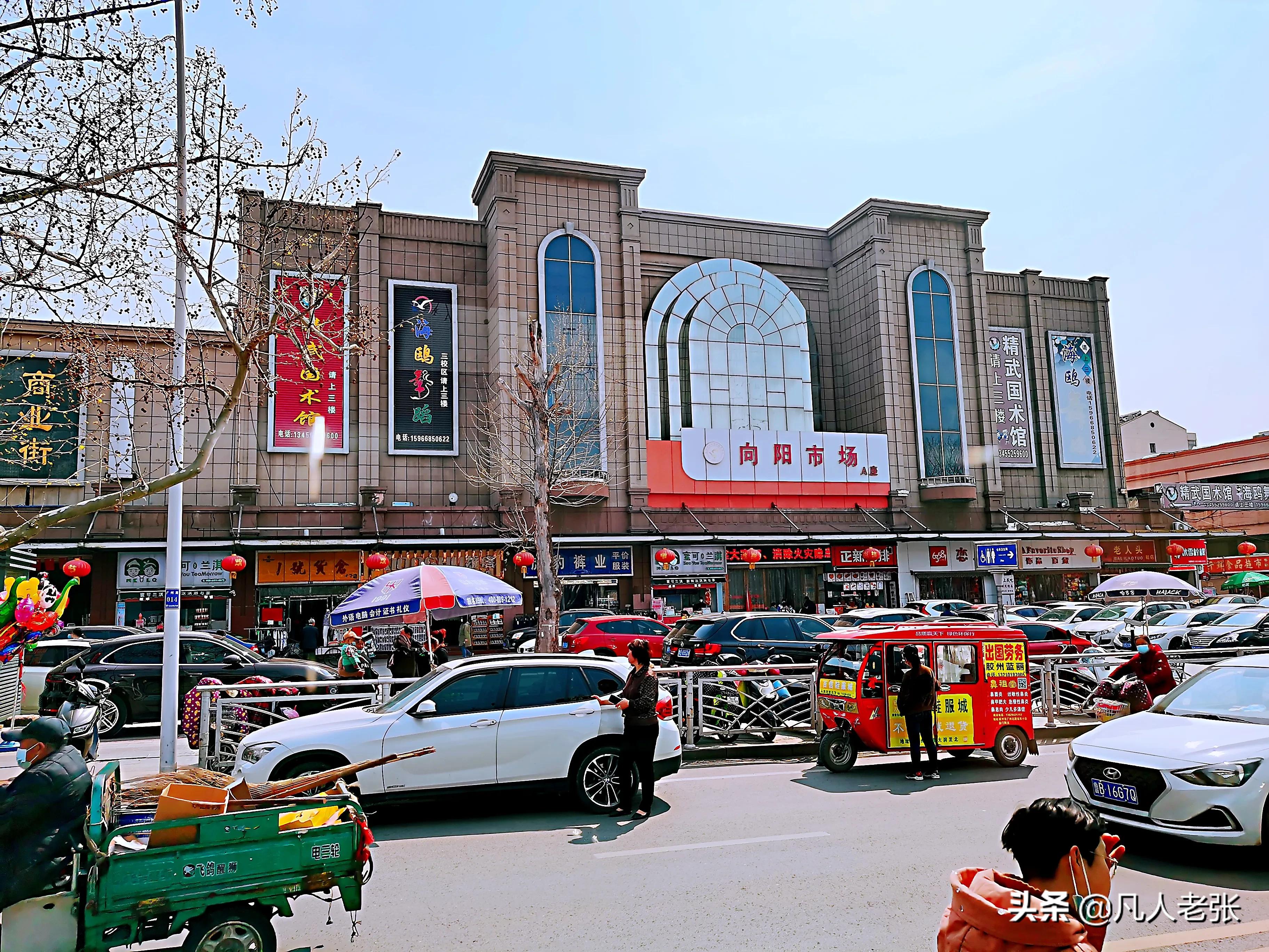山东第一城青岛,山东第一大城市青岛