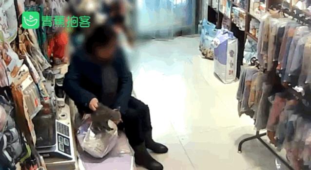 把猫咪打死了心情很沉重,发火了把猫咪差点打死猫咪会怎样