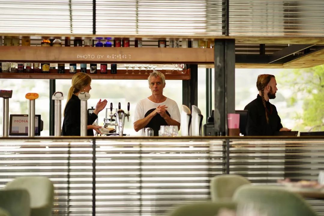 去哪里旅游可以看南极企鹅,旅游攻略南极看企鹅