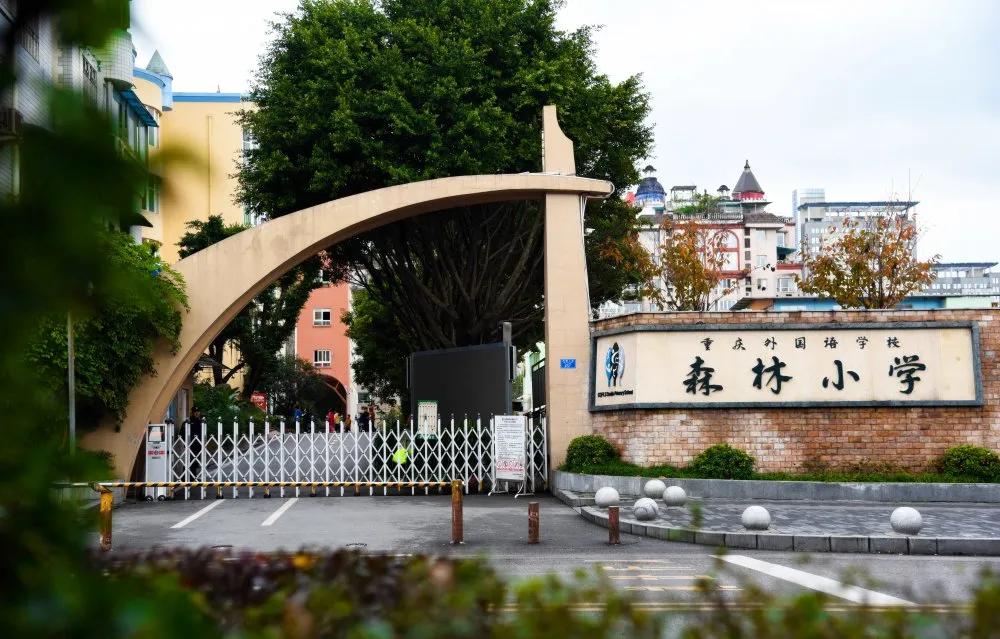 九龙坡区森林小学对口中学,2019重庆九龙坡区小学划片