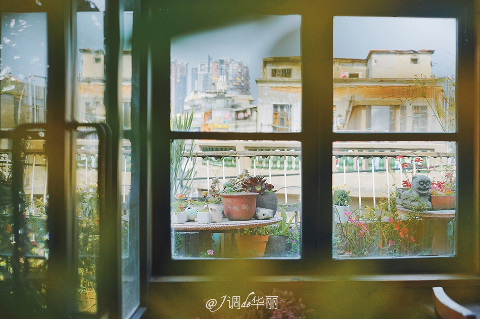 厦门没去过的地方,厦门没去过的景点