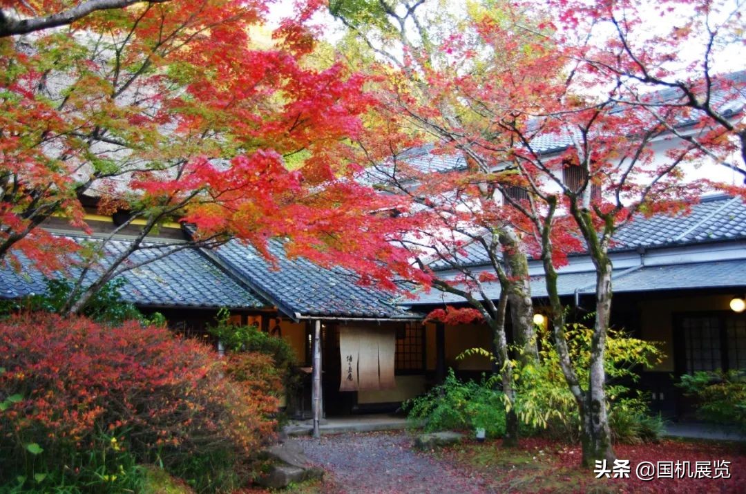 日本十大高科技,日本248项世界顶尖技术