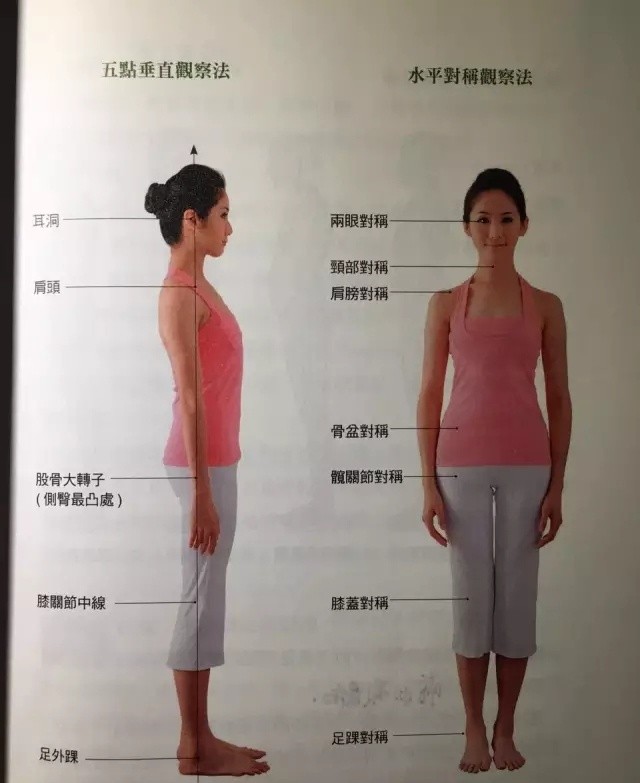 如何改善驼背和骨盆前倾,怎样改善骨盆前倾的腰疼