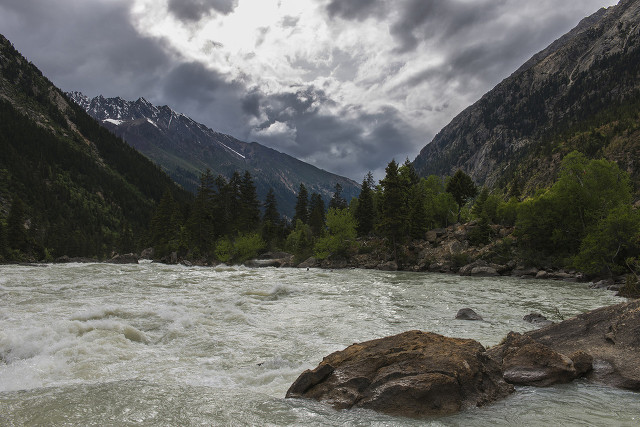 职业交易员期货实盘操作,最成功的期货交易员