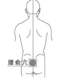 腰俞穴：治疗腹泻，便秘，痔疾等