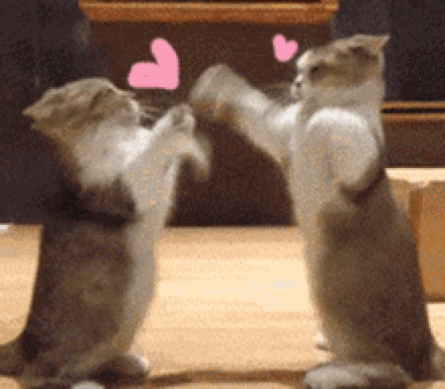 怎么选择美瞳比较自然,怎么才能正确选择适合自己的美瞳