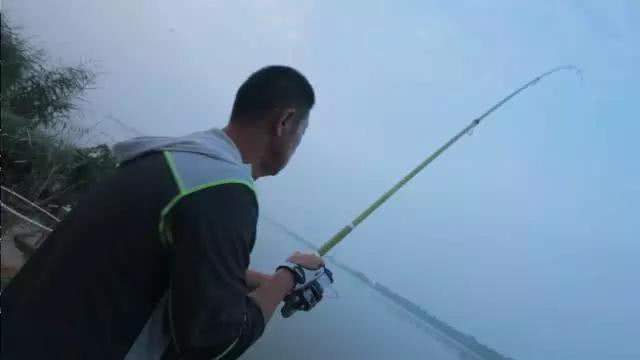 夜钓最佳上鱼时间秋季,初秋夜钓最佳上鱼时间