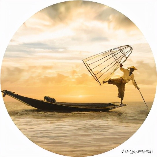 二氧化氯消毒剂配制方法与步骤,二氧化氯粉剂消毒的用法及用量