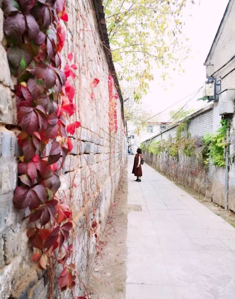 漫随天外云卷云舒免费,漫随天外云卷云舒抖音