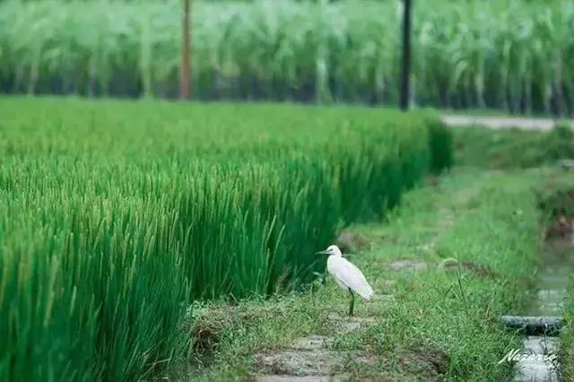 涔屾潙娓稿鏁伴噺,涔屾潙骞存帴寰呮父瀹㈤噺