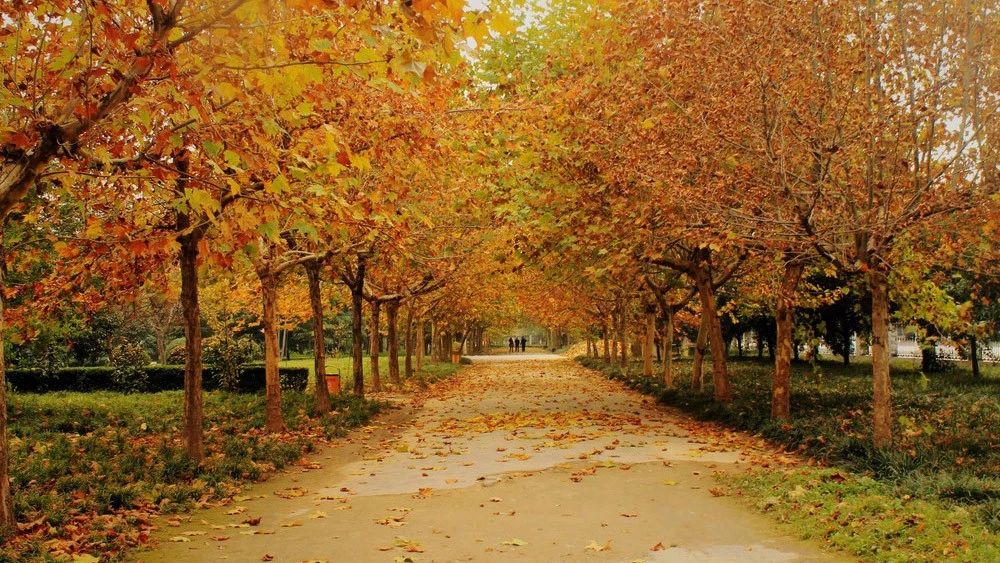 郑州漂亮的秋色风景,郑州的这些湖畔藏着最美的秋色