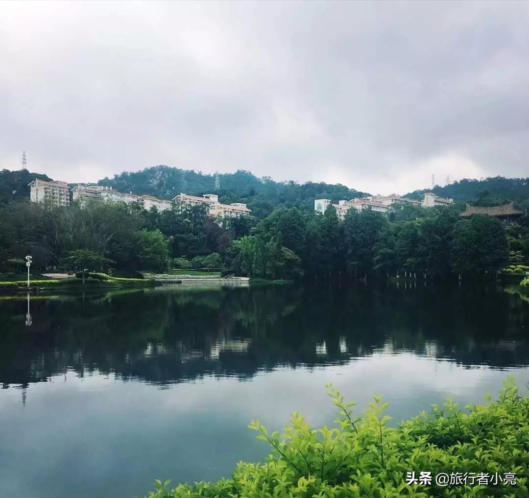 福建厦门十大旅游景点,福建厦门旅游十大必去景区